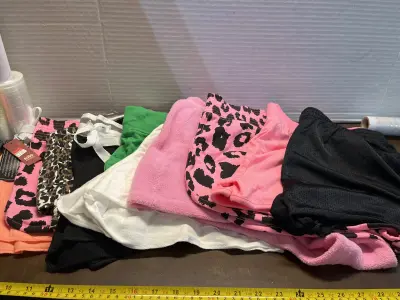 10ct L shorts