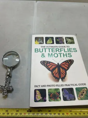magnifying glass and nature book