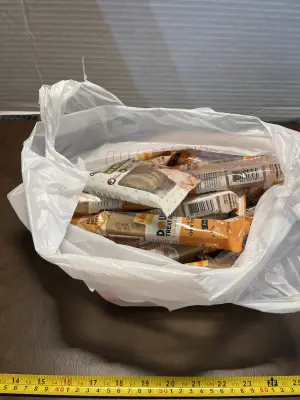 lot of dog bones
