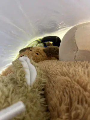 mystery plush bag