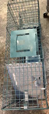 2ct live animal traps small & large