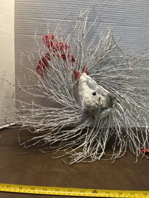 christmas reef