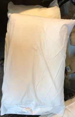 2pc pillows needs cleaned