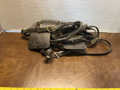 saddle