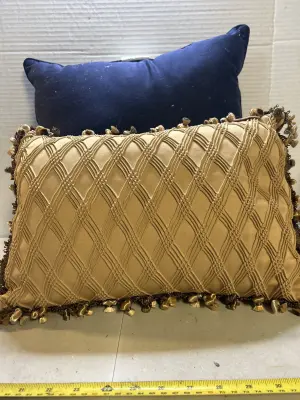 2 throw pillows need cleaned