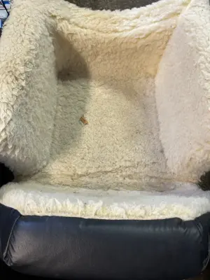 dog booster seat