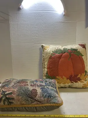 2 autumn/fall throw pillows