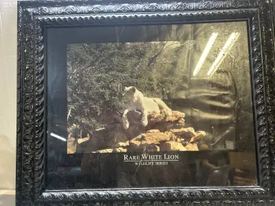 wall decor