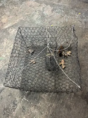 2ct crab cage