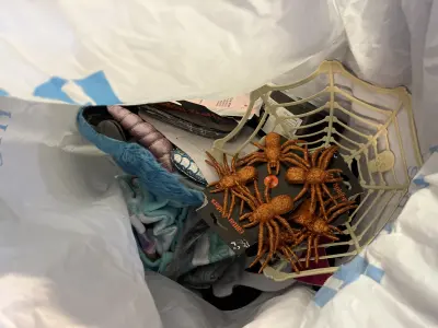bag of lot halloween decorations