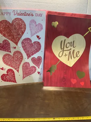 2ct LARGE valentines cards