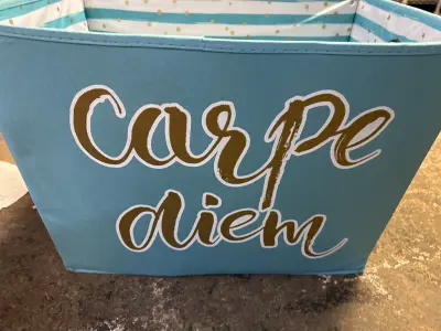 carpe diem tote