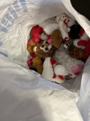 bag of stuffed animals