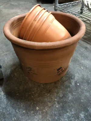 4 plastic flower pots and clay flower pot with dirt in it