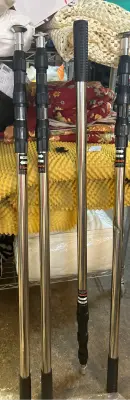 Teodute walking sticks ?