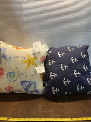 2ct pillows