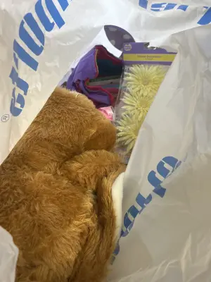 mystery bag