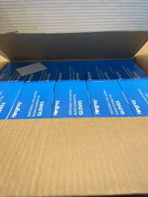 10ct vinyl gloves