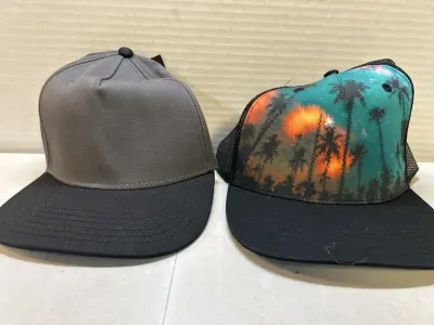 2 flat bill hats
