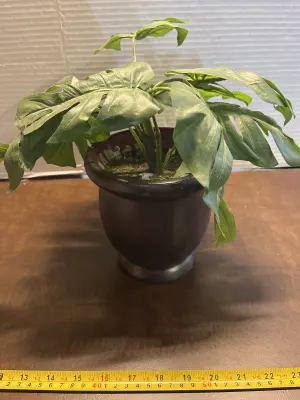 artificial plant