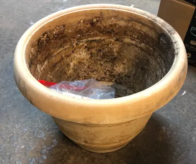 7 packs of seeds, 3 holistic candles and flower pot used