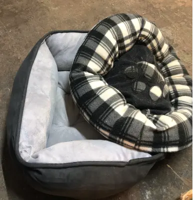 2pc used dog beds as is