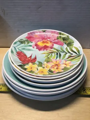 12pc plate set