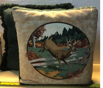 2pc throw pillow