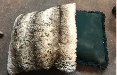 2pc throw pillow