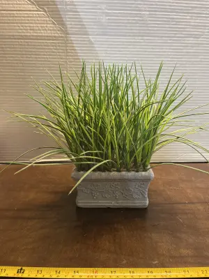 artificial plant