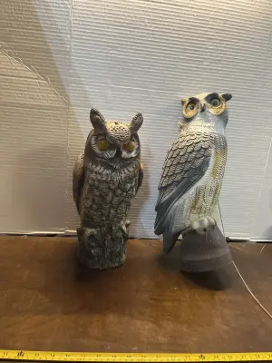 2ct yard owls