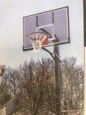 50” Goaliath backboard as is