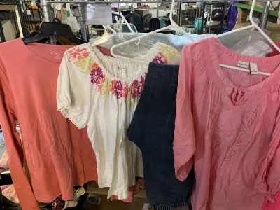 3ct XL tshirts , size 14/16 pants