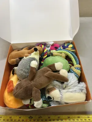 box of puppy toys