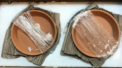 Terra cotta planter set