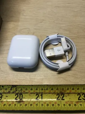 Apple ear buds works