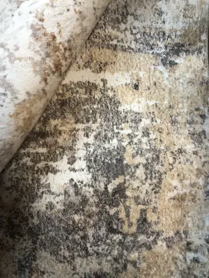 Unknown size area rug