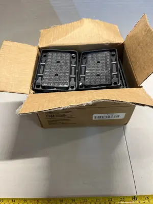 box of glue traps