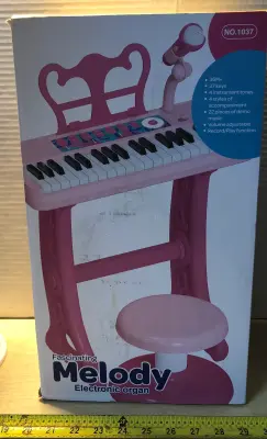Melody electronic organ