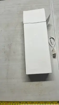 electric adult toy