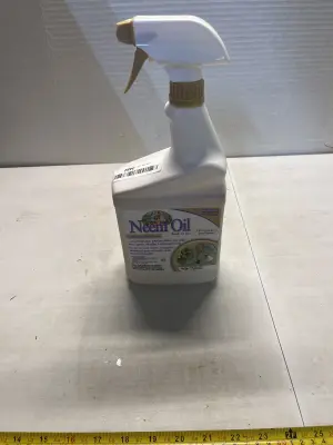 Neem oil