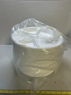disposable plates