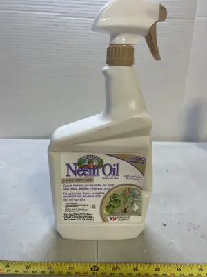 neem oil spray