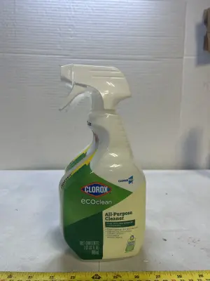 2 ecoclean clorox