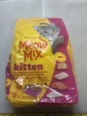kitten food