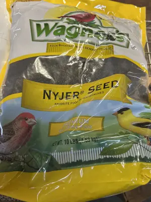 NYJER bird seed