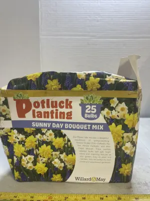 pack of 25 bulbs