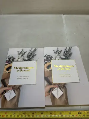 2 meditation journals