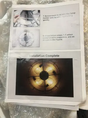 Caged Ceiling fan with light