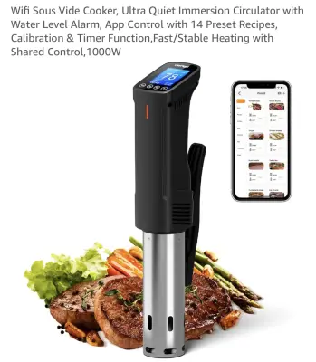 Ink Bird ISV-100W Sous vide cooker with wifi